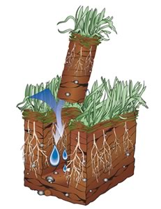 Core Aeration