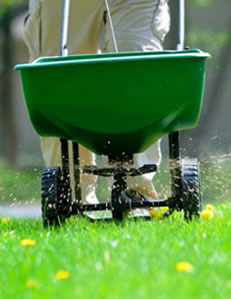 Lawn Fertilization
