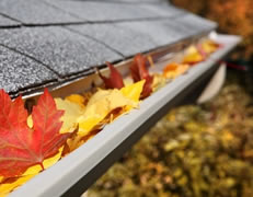 Gutter Cleaning