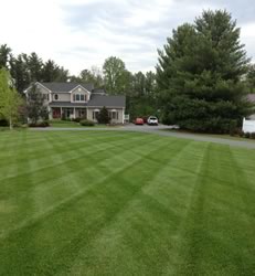 Mowing Services