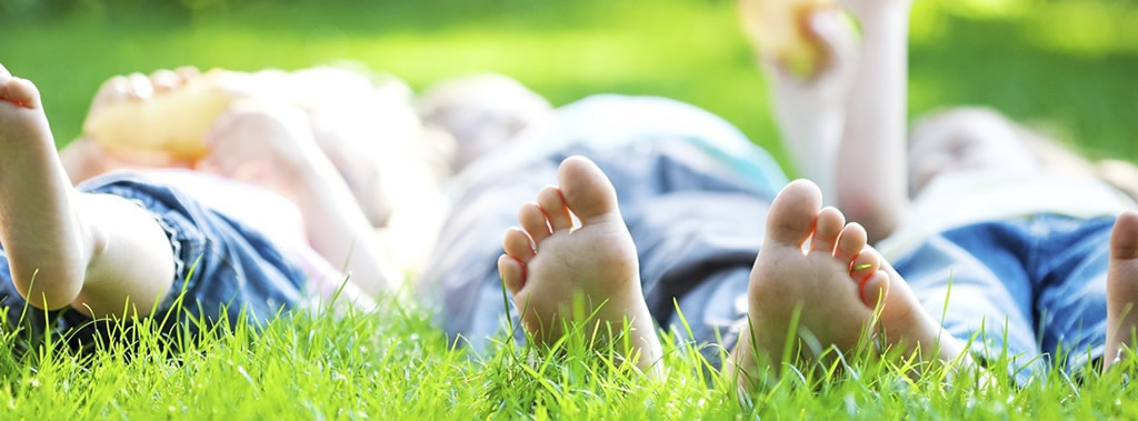 Enjoy your lawn this year - Meriweather Moving Services- Charlottesville, Virginia